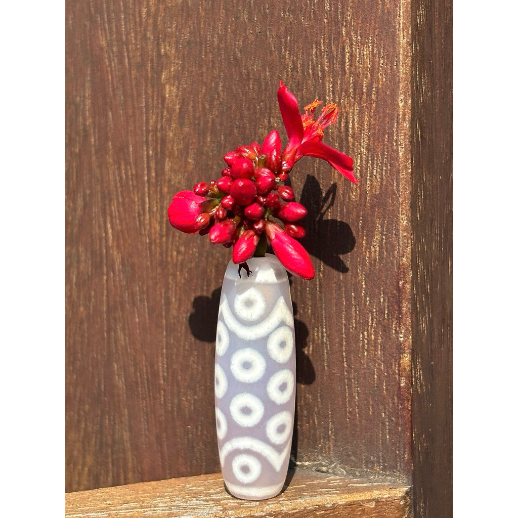 DZI 21 MẮT dòng dzi nước