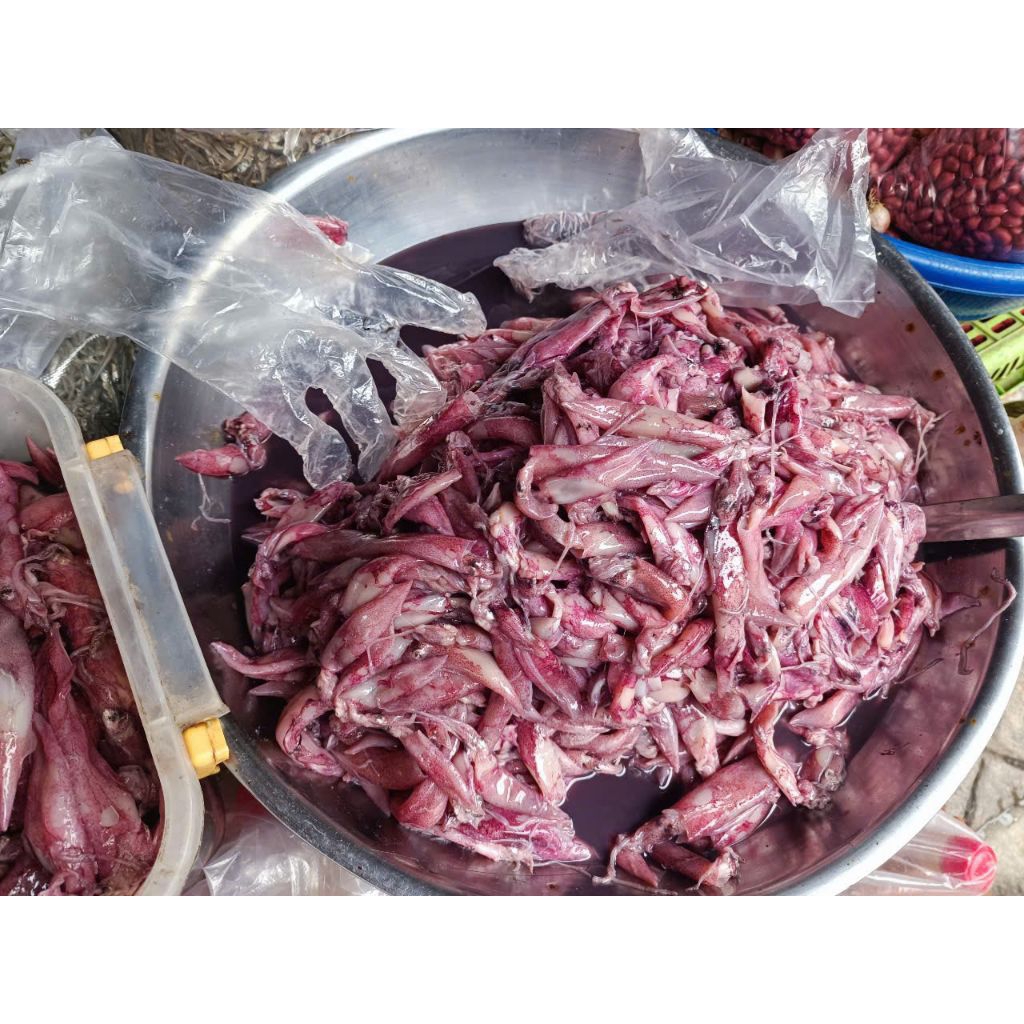 MỰC CƠM MUỐI ĐẶC SẢN BIỂN QUY NHƠN