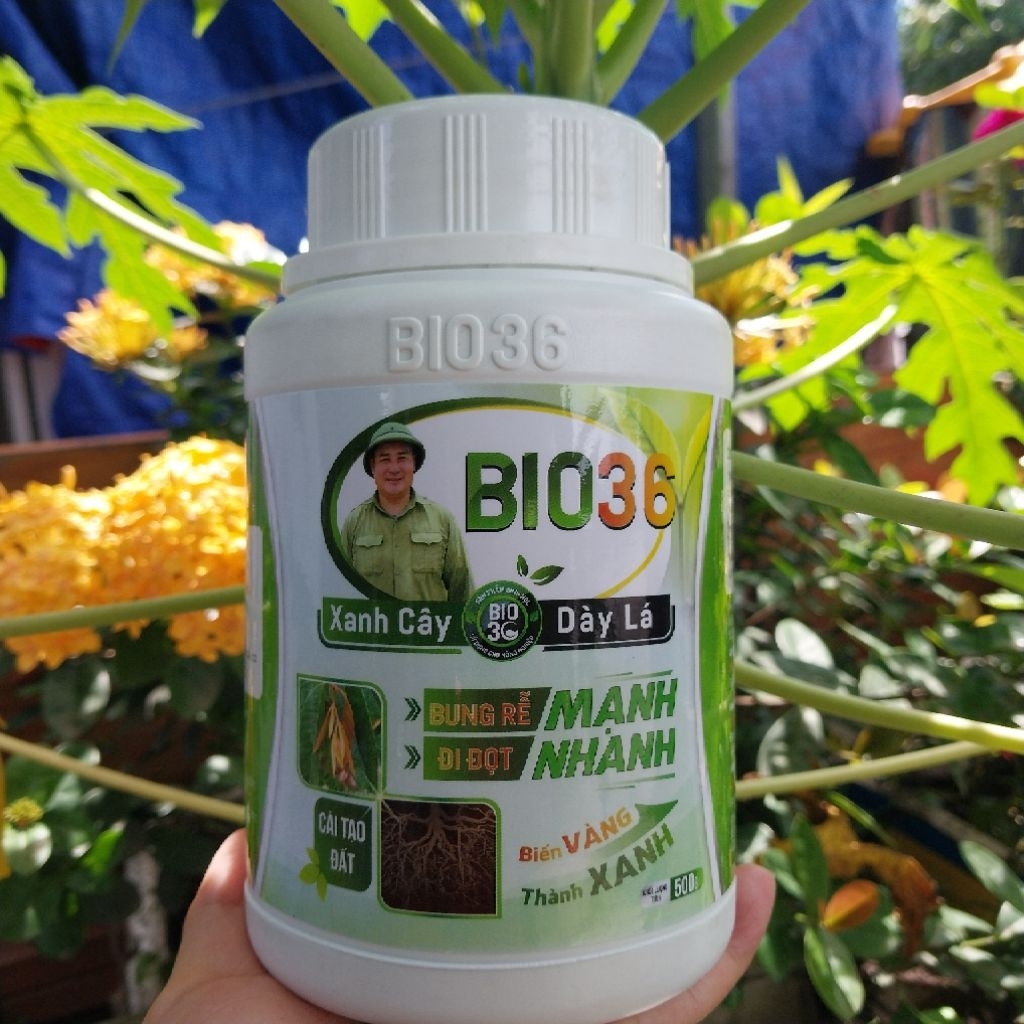 Phân bón Bio 36 hũ 500g. kích thích ra rễ, phục hồi cây suy yếu. bio 36 hàng chính hãng, Bio 36 kích