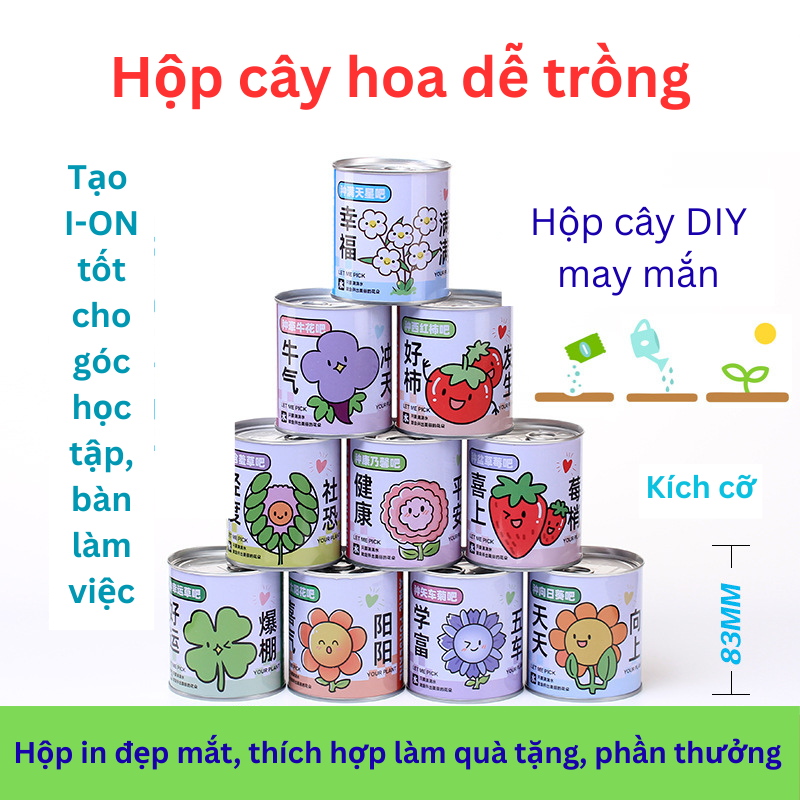Hộp Cây Trồng Bộ Kit Cây Trồng Cho Bé Học STEM Quan Sát Sinh Trưởng Của Cây Tự Do Sáng Tạo Trang Trí Chậu Cây