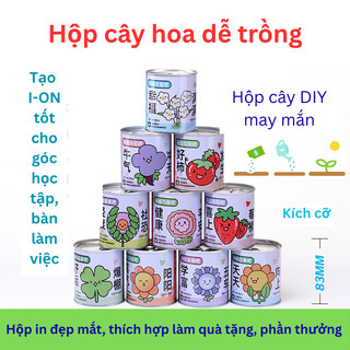 Hộp Cây Trồng Bộ Kit Cây Trồng Cho Bé Học STEM Quan Sát Sinh Trưởng Của Cây Tự Do Sáng Tạo Trang Trí Chậu Cây