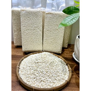 Gạo Nếp Tan Điện Biên combo 5kg