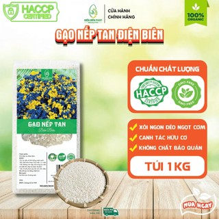 Gạo Nếp Tan Điện Biên combo 5kg