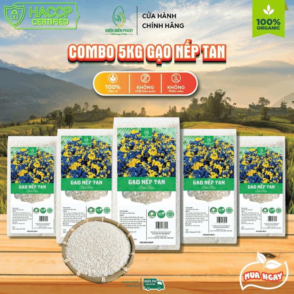 Gạo Nếp Tan Điện Biên combo 5kg