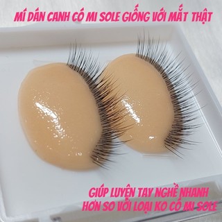 Mí dán canh- mắt giả nối mi- mi tập nối đa tầng  tặng keo dán  