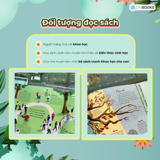 Sách - Vòng đời (Life Cycles)
