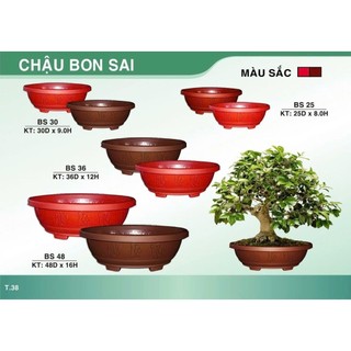 Chậu nhựa bonsai dáng oval 30cm