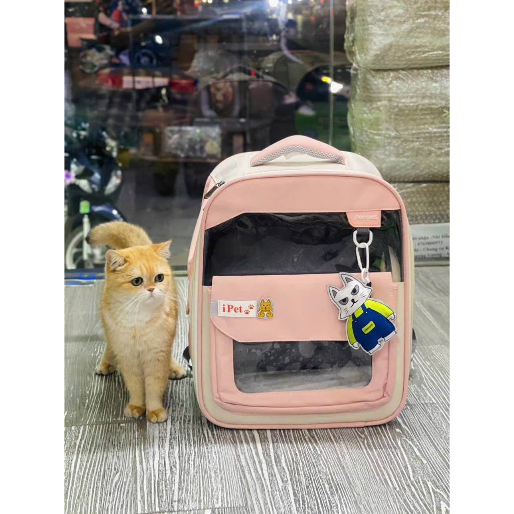 ( Hỏa tốc) Balo Ipet cute dễ thương cho chó mèo