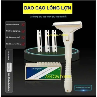 dao cạo lông lợn dụng cụ cạo lông heo chân giò inox tặng 10 lưỡi
