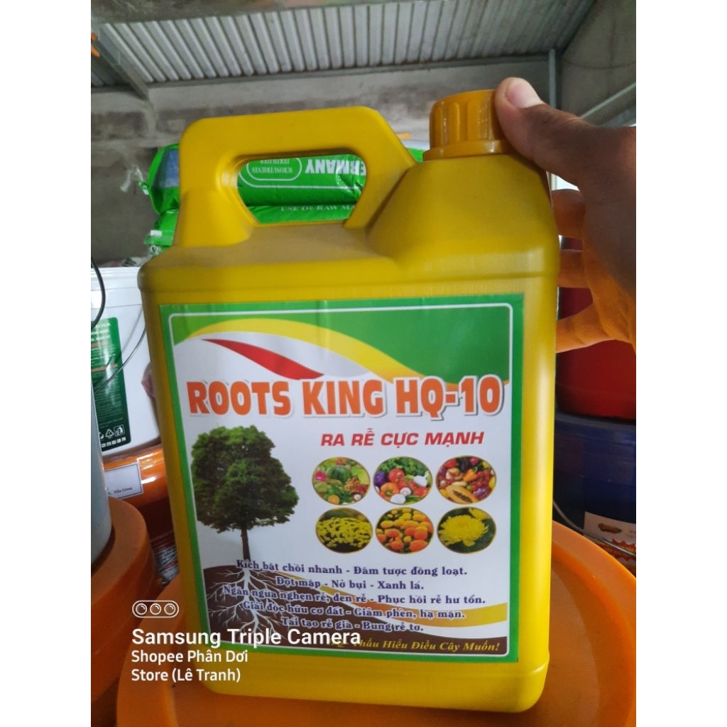 Phân Bón Dưỡng Rễ Kích Rễ Roots King HQ10{can 5lit}