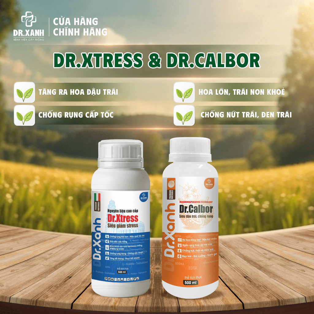 Ra hoa nhiều trổ hoa nhanh - chống rụng hoa và trái non cấp tốc - Bộ đôi Dr.Xtress - Dr.Calbor 500ml