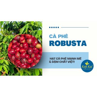 Cà phê pha phin 8:2 ( 80% Robusta+20% Arabica) 500g