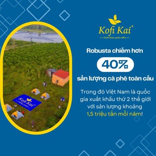 Cà phê pha phin 8:2 ( 80% Robusta+20% Arabica) 500g