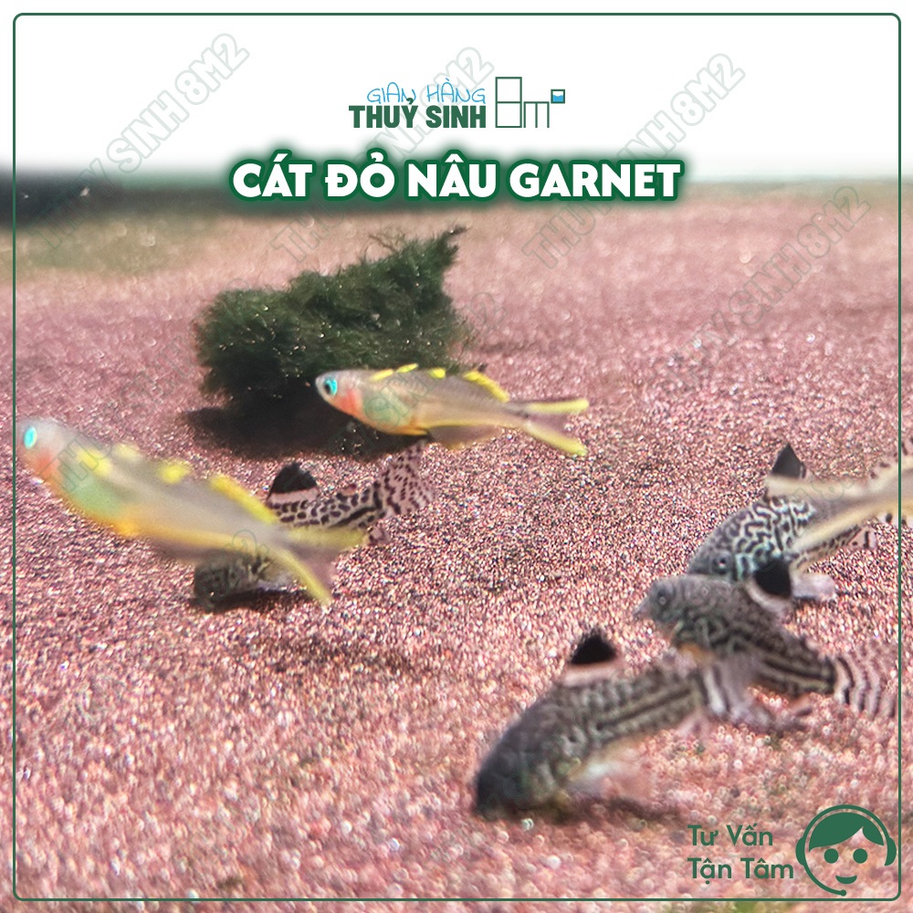 Cát ĐỎ NÂU GARNET | Cát Chơi Cá Chuột, Cá Pleco, Cá Tầng Đáy | Cát Trang Trí Hồ Thuỷ Sinh | 8m2
