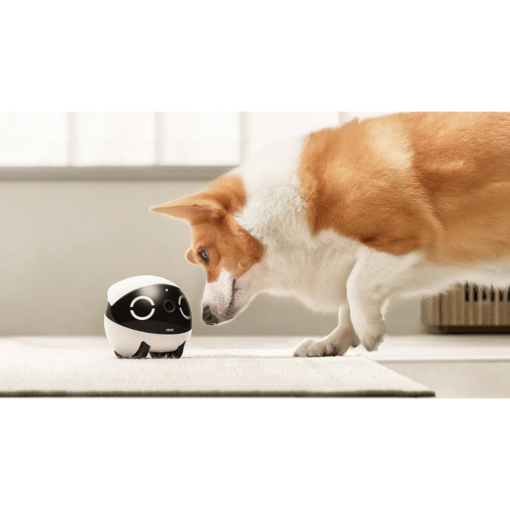 CAMERA THÚ CƯNG ROLA MINI - ĐÔI MẮT DI ĐỘNG CHO NGƯỜI YÊU PET