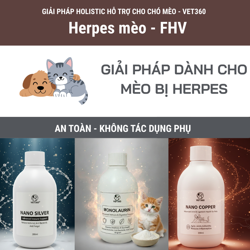 Giải pháp Holistic cho mèo , Herpes mèo - FHV ( Feline herpes Virus) - VET360