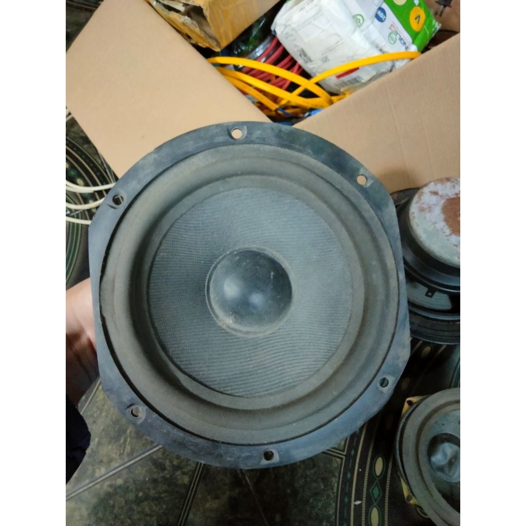 loa hỏng tháo thùng