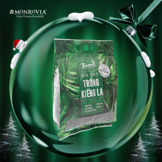  Đất trồng cây kiểng lá cây trong nhà ngoài trời Monstera Anthurium Bàng Singapore túi 7 lít 