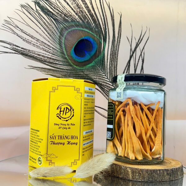 Đông Trùng Hạ Thảo Sấy Thăng Hoa HP Long An - Hộp 10g, loại 1