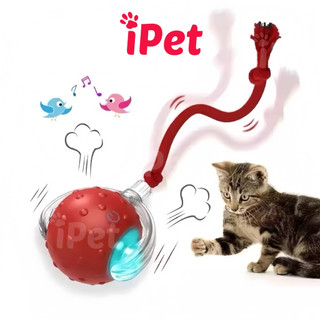  Đồ Chơi Bóng Lăn Tự Động Cho Thú Cưng Chó Mèo Đuổi Bắt - iPet Shop 