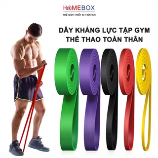  Dây Kháng Lực Tập Gym Toàn Thân Dây Trợ Lực Kéo Xà Hỗ Trợ Tăng Cơ Tập Chân Tay Thể Thao Tại Nhà 