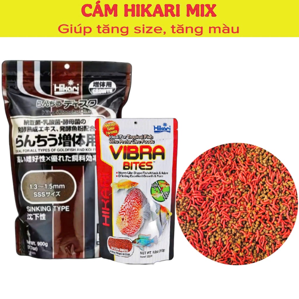 Hikari Mix Super Red [Hũ 70g]: Thức ăn trùn huyết  kích size, kích màu, hỗ trợ tiêu hóa cho cá cảnh.