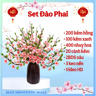    20 cành  Set nguyên liệu làm bình hoa ĐÀO PHAI kẽm nhung handmade tự làm trang trí diy 