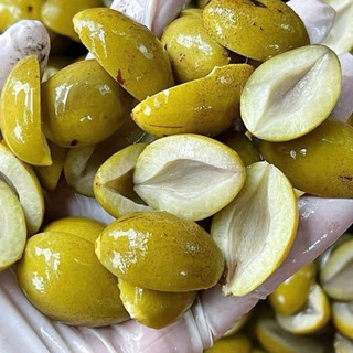 Trám xanh tách hạt 1kg ❤️GIÁ SỈ❤️thơm ngon dày thịt