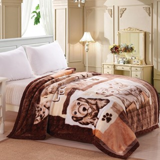  Chăn mền tuyết nhung 2.5kg dài 1m9x2m 2 lớp loại dày mền bông mùa đông cotton mềm mịn 2mx2m 