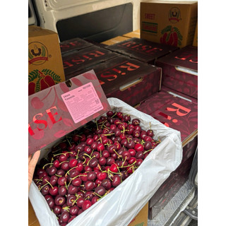 [HOẢ TỐC] Cherry Úc siêu siêu ngon, ngọt đậm size 28-30