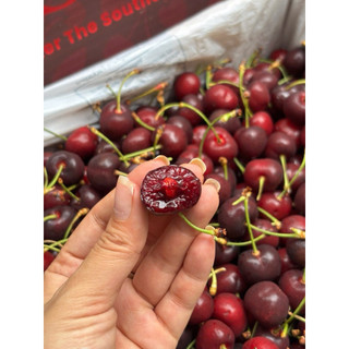 [HOẢ TỐC] Cherry Úc siêu siêu ngon, ngọt đậm size 28-30