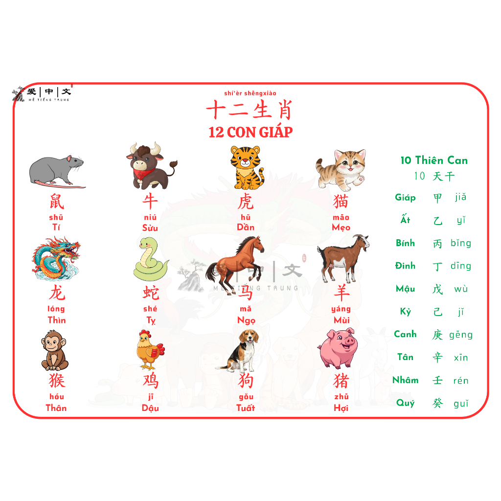 Poster từ vựng 12 CON GIÁP Tiếng Trung ép plastic - Poster 12 VIETNAMESE ZODIACS in Chinese - Mê Tiế