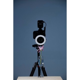 Đèn Flash Godox ML150II Macro Ring Flash Light