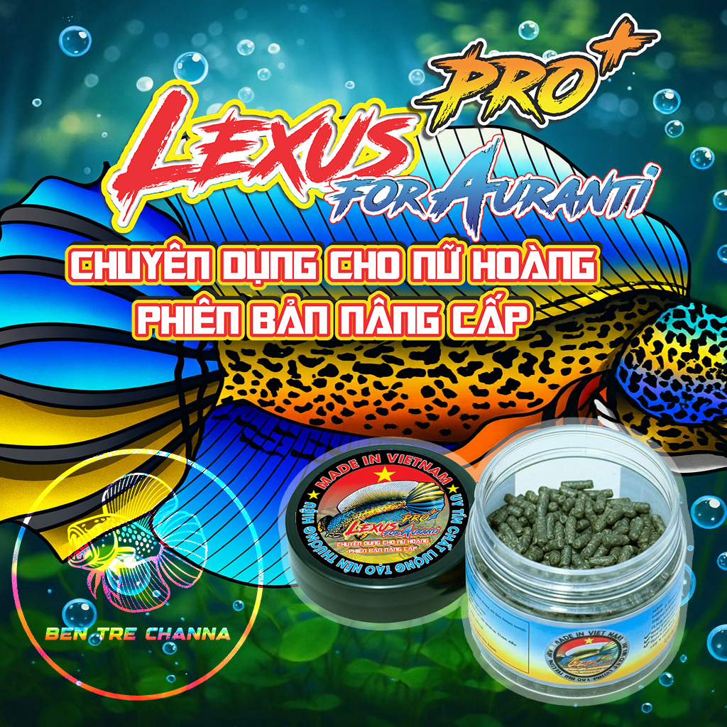 cám LEXUS PRO + FOR AURANTI - thức ăn chuyên dụng , phiên bản nâng cấp dành cho Nữ Hoàng