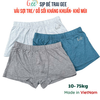 Quần lót bé trai Gee, set 3 quần sịp bé trai vải sợi tre, gỗ sồi cao cấp, an toàn với da, co giãn.