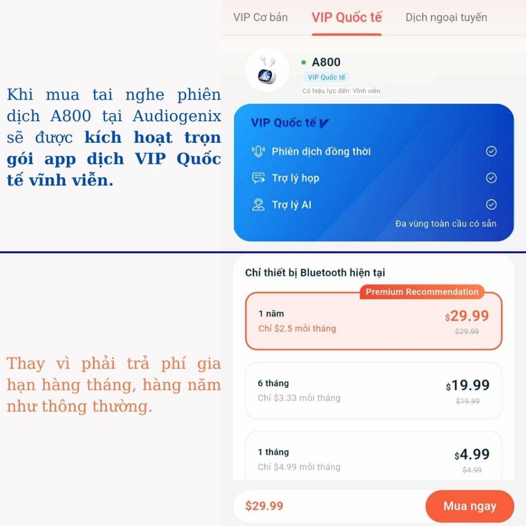 Tai nghe phiên dịch A800 – Dịch 144 ngôn ngữ có độ trễ cực thấp + app dịch VIP Quốc tế vĩnh viễn | BigBuy360 - bigbuy360.vn