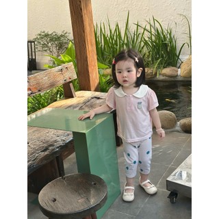  Set bộ cộc tay cổ sen bé gái dáng lửng Miniumbaby đính nơ thỏ xinh xắn chất cotton mềm SB2489 
