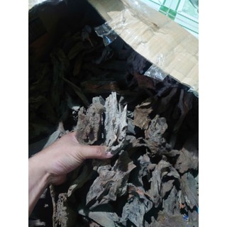 Lũa san đá miếng cho thuỷ tinh, bán cạn, terrarium hàng đẹp
