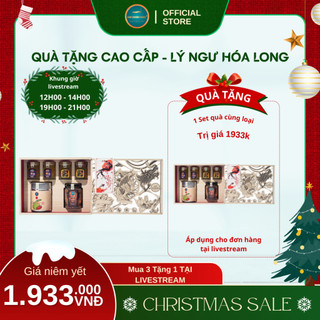 Hộp Quà Tặng Lý Ngư Hóa Long Kim Cương Vàng - Set Quà Gia Đình ,Quà Biếu Cao Cấp Sang Trọng 