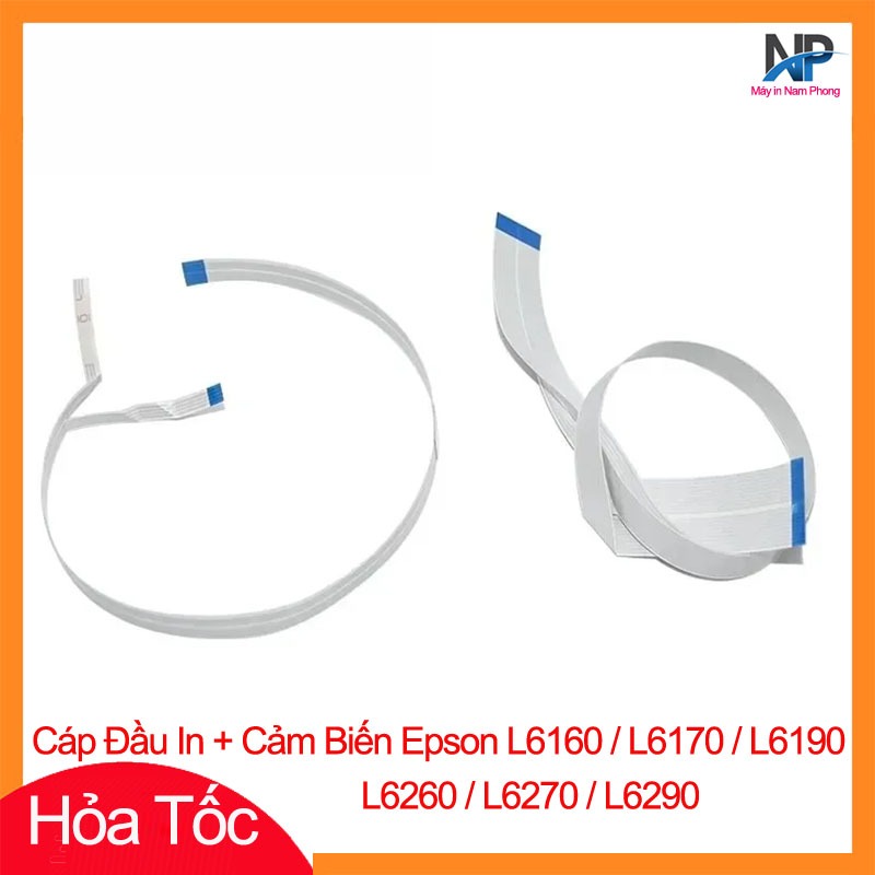 Bộ Cáp Đầu In, Cable Cảm Biến Epson L6160, L6170, L6260, L6270, L6190, L6290
