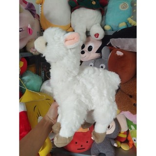 Gấu bông cừu  dễ thương size 30-35cm