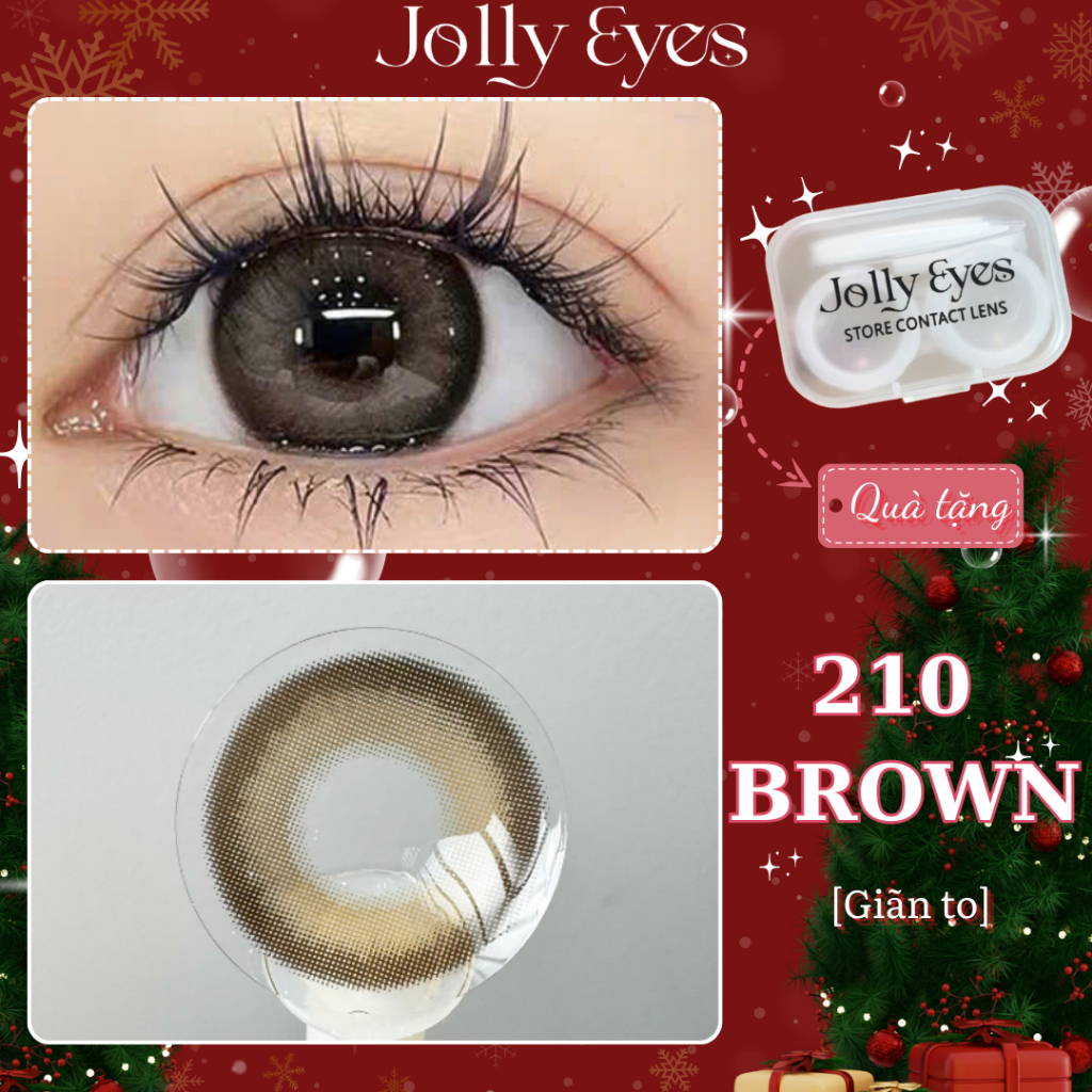 Lens cận FB 210 Brown 14.5mm Kính áp tròng JOLLY EYES
