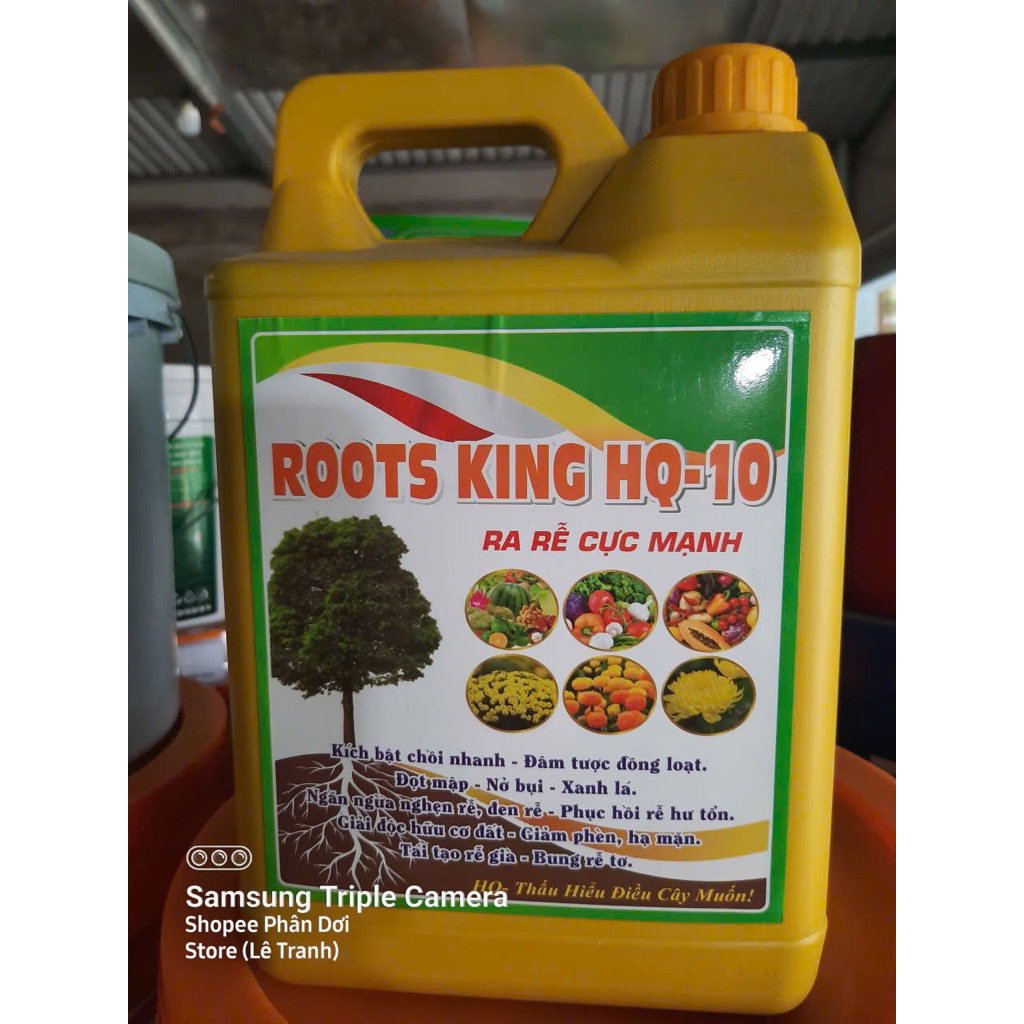 Phân Bón Hữu Cơ Dưỡng Rễ Kích Rễ Roots King HQ10{can 5lit}