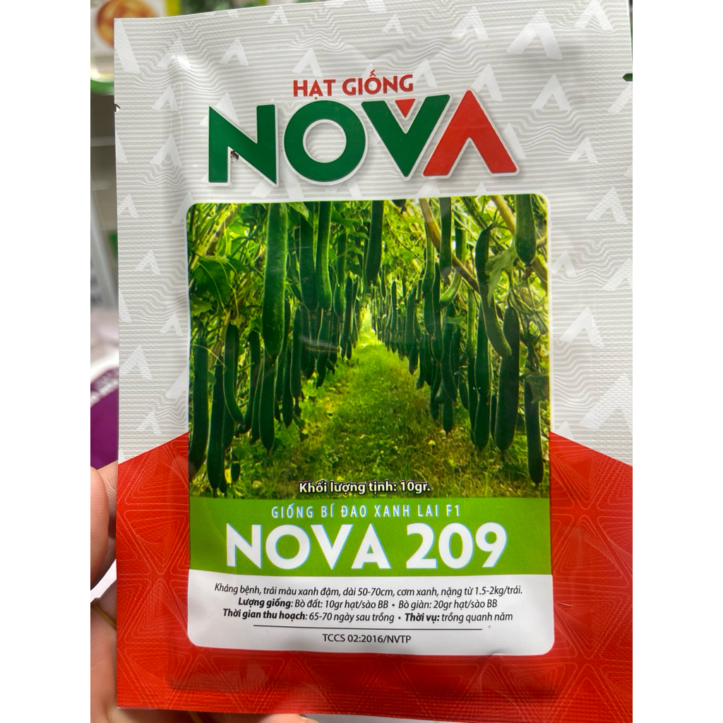 hạt  giống  bí xanh -bí đao gói  10 gram  NOVA 209