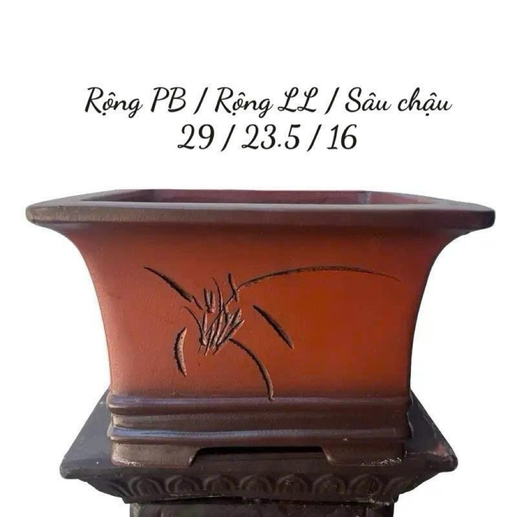 VT1-1 Chậu Vuông Tàu Thóp Đích Hoạ Tiết Điêu Khắc Thủ Công LL 20.5cm Sâu 14cm Phù Hợp Trồng Cây Cảnh