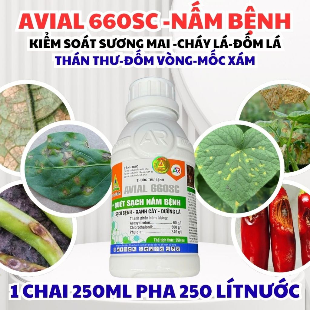 Avial 660SC Phòng Ngừa Nấm Bệnh Cây Trồng Như Thán Thư, Sương Mai, Đốm Lá, Cháy Lá, Phấn Trắng, Mốc 