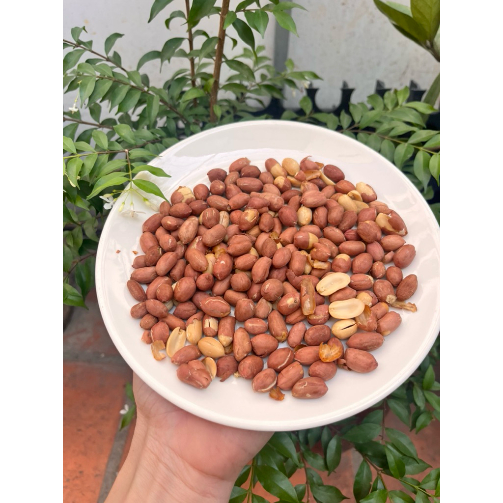 LẠC RANG HÚNG LÌU ĐỨC THUẬN  /LẠC RANG HÚNG LÌU  ĐẶC SẢN NAM ĐỊNH -ĐẶC BIỆT THƠM NGON -HÀNG  LOẠI 1