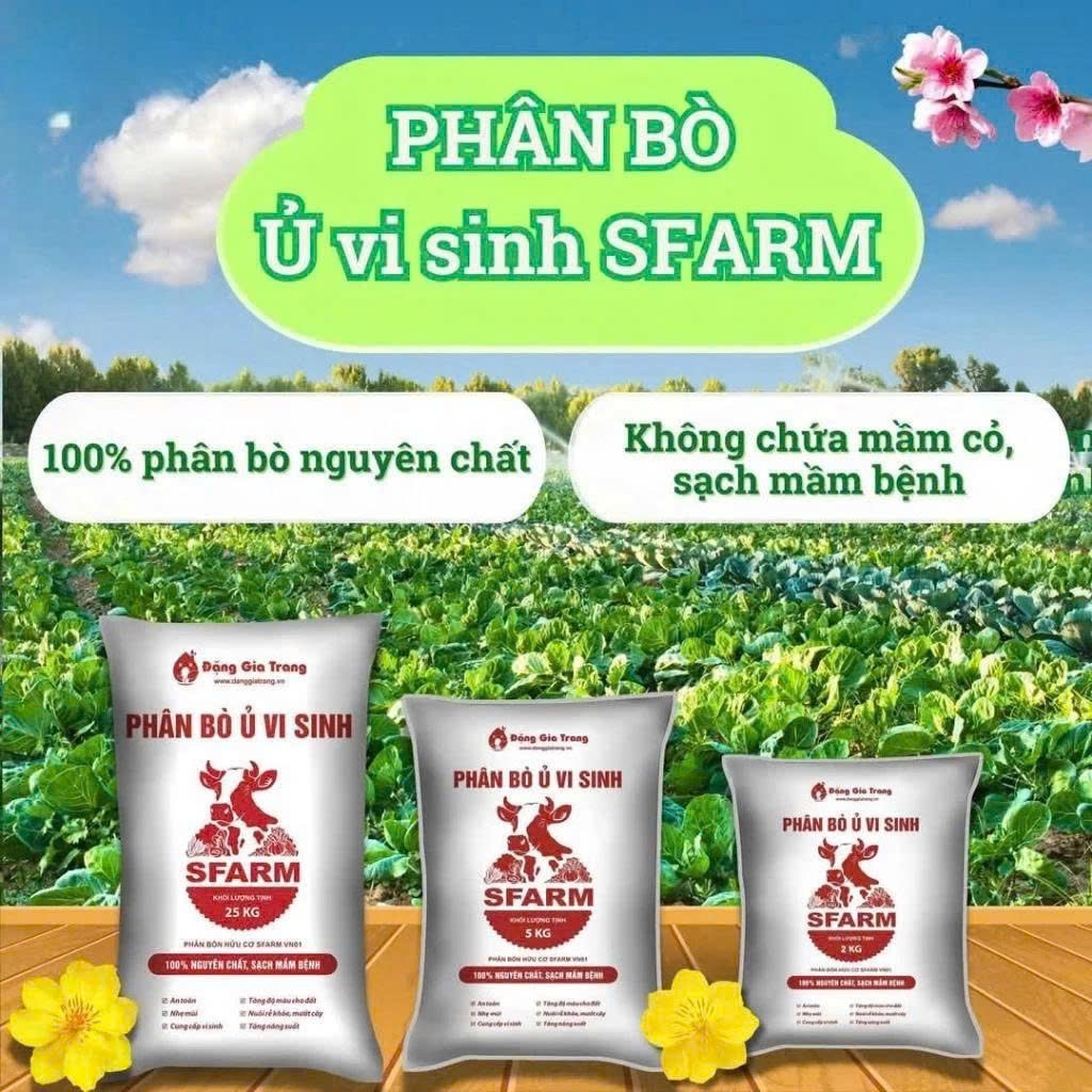 Phân bò ủ vi sinh SFARM 5kg