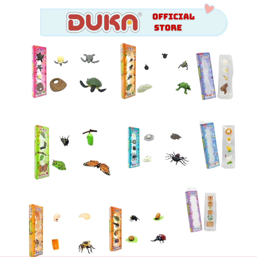 Đồ Chơi Duka: Bộ Mô Phỏng Vòng Đời Tự Nhiên Các Loài – Nhện, Bướm, Rùa, Gà, Ếch,.. Bé Khám Phá Khoa Học