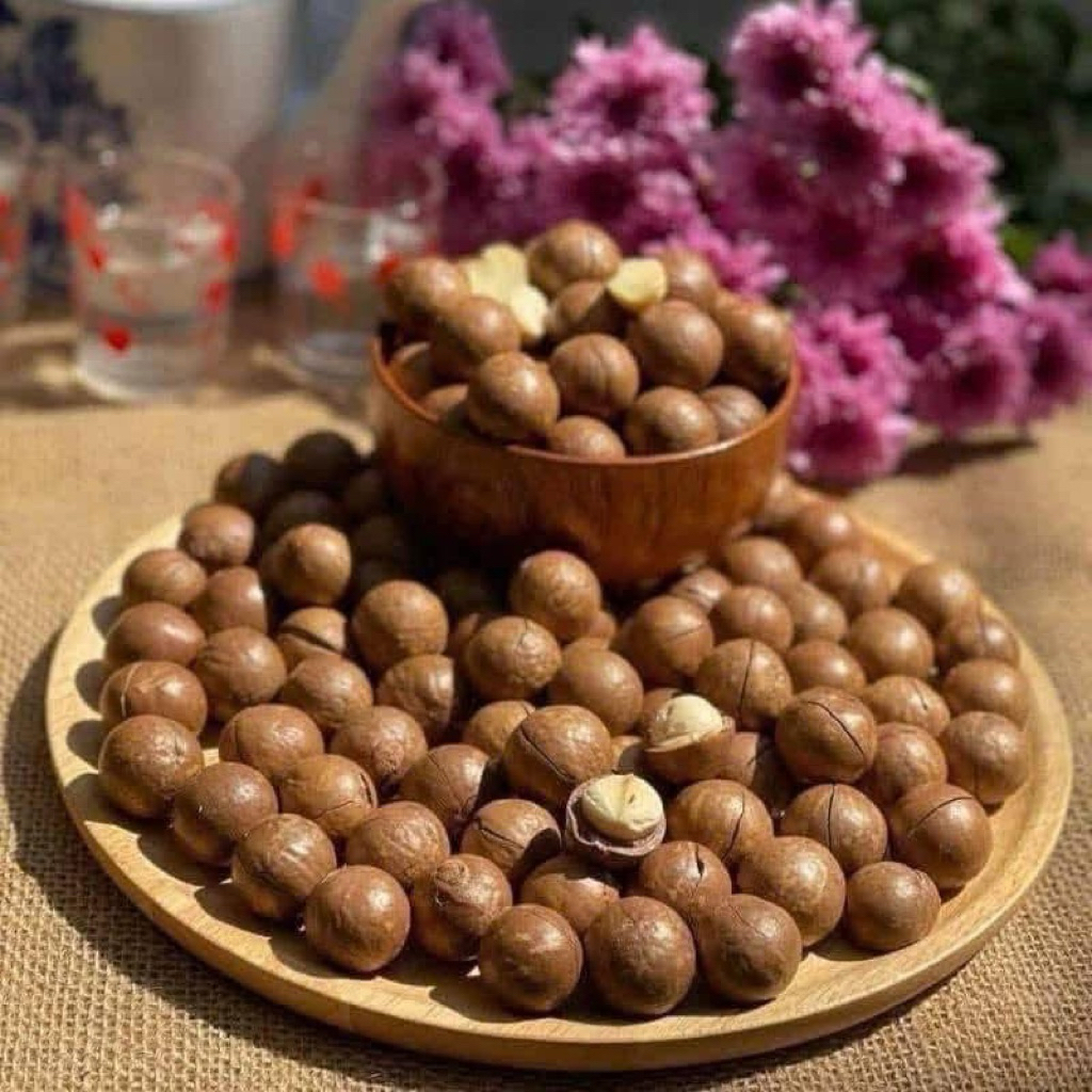 Hạt Macca Sấy Đắk Lắk Size Trung Hộp 500g Kèm Dụng Cụ Tách